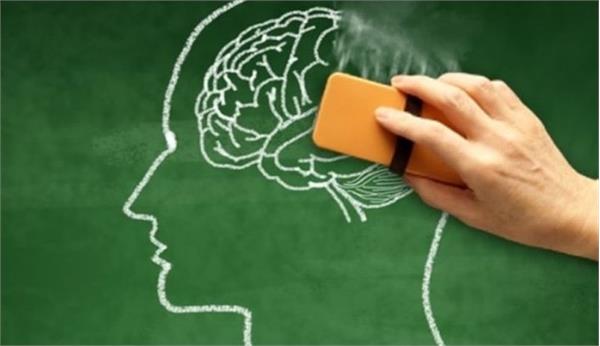 آنتی اکسیدان های موثر در بیماری آلزایمر