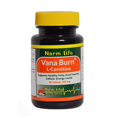 قرص ال کارنیتین 250 میلی گرم وانا برن نورم لایف 60 عددی
